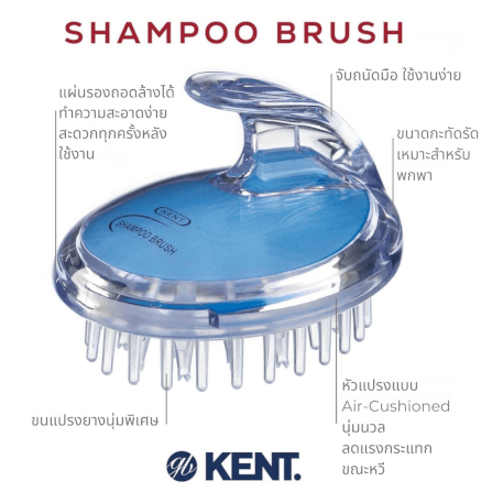 แปรงสระผม KENT SHAMPOO AND SCALP MASSAGE BRUSH สีฟ้า_8